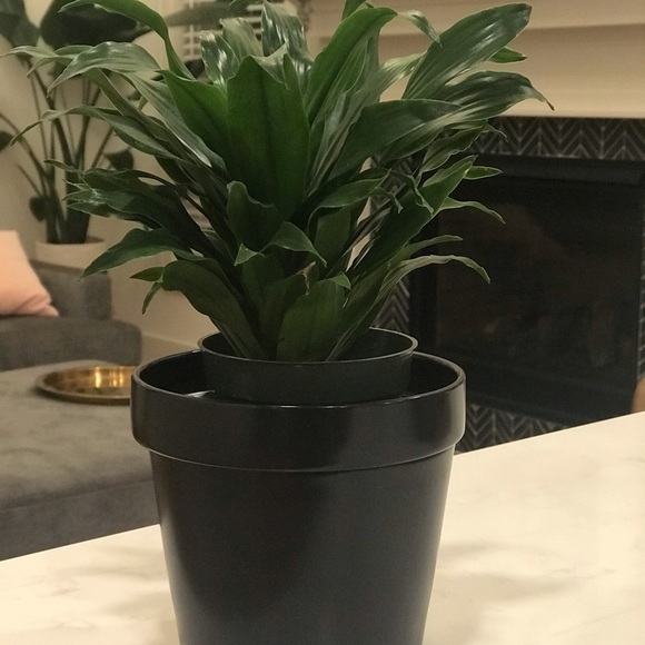 Ceramic Plant pot Vase with Hidden Storage Black - Picture 4 of 5